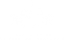 Logo ALSA